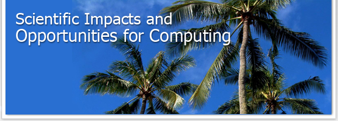 Scientific Impacts and Opportunities for Computing at the Petascale Workshop